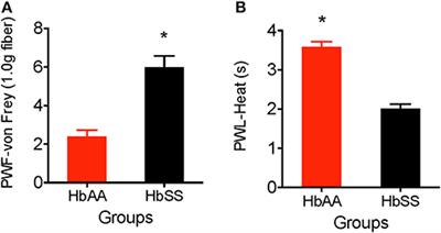 Significant Quantitative Differences in Orexin Neuronal Activation After Pain Assessments in an Animal Model of Sickle Cell Disease